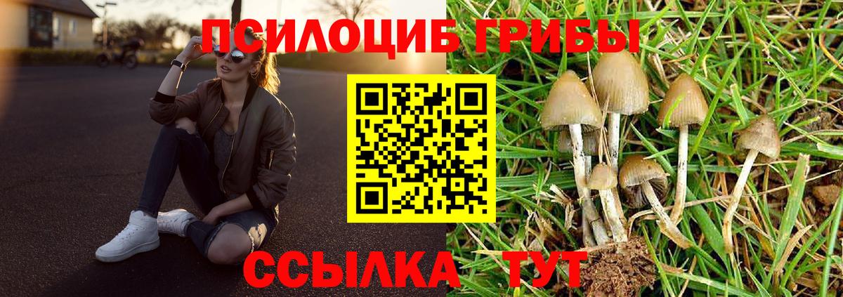 наркошоп  Вход с VPN  Кисловодск  Галлюциногенные грибы MAGIC MUSHROOMS 
