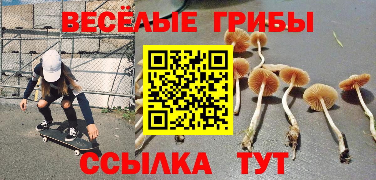 Галлюциногенные грибы мухоморы Кисловодск